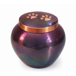 Ánfora Odisea Tornasol