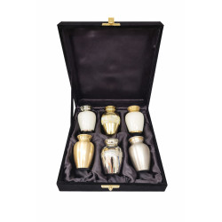 Petite Set Les Lumiéres