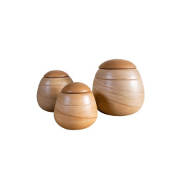 Pack Ánfora Odisea Beige Marmolada TALLA M (4 unidades))