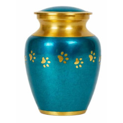 Clásica Aqua Dorada Talla M (Hasta 15kg)