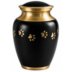 Clásica Grafito Dorada Talla M (Hasta 15kg)