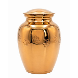 Clásica Oro Luz Talla S