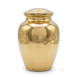 Clásica Oro Luz Talla L (Hasta 35kg)