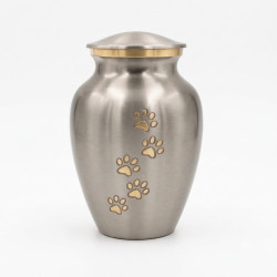 Ánfora Clásica Platino Talla S (Hasta 7kg)