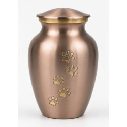 Ánfora Clásica Oro Rosa Talla S (Hasta 7kg)
